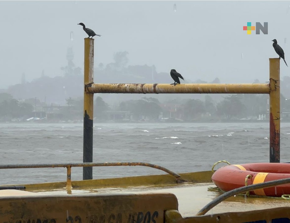 Frente frío 28 trae lluvias, nieblas y descenso de temperatura en Veracruz